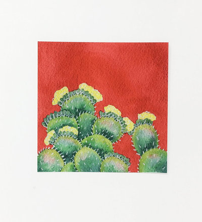 LonePineArt - Red -Flowering -Prickly Pear -Cactus -Painting- prints -Wine Country, Wine, Shop Local - Wine Country, Viansa Vineyard, Red Wine, White Wine, Rose, Vineyard, North Bay California Wines, Viansa